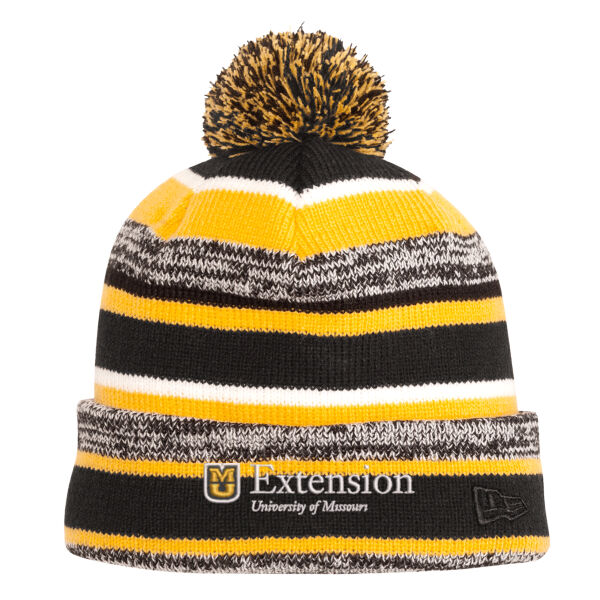 Striped Beanie with Cuff Thumbnail